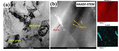 擠壓Mg-Mn-Al-Ca合金中雙峰晶粒結構的形成機理及強化機制研究