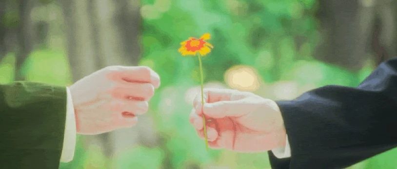 北大招生宣傳片：每朵小花都有屬於自己的花期