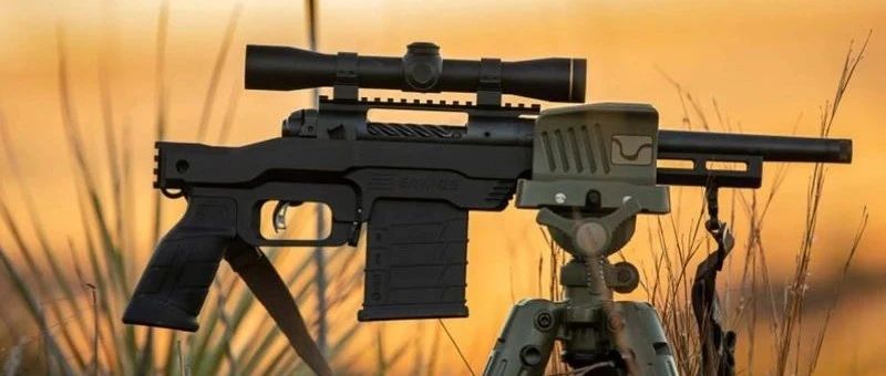 高精度狙擊步槍改栓動手槍，Savage 110 PCS狙擊手槍