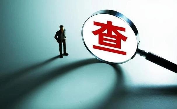 中農集團控股股份有限公司總經理王蓓接受監察調查