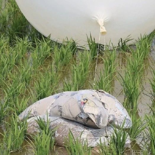 今年第五次！朝鮮向韓國投放350多隻“垃圾氣球”，落入首爾等地