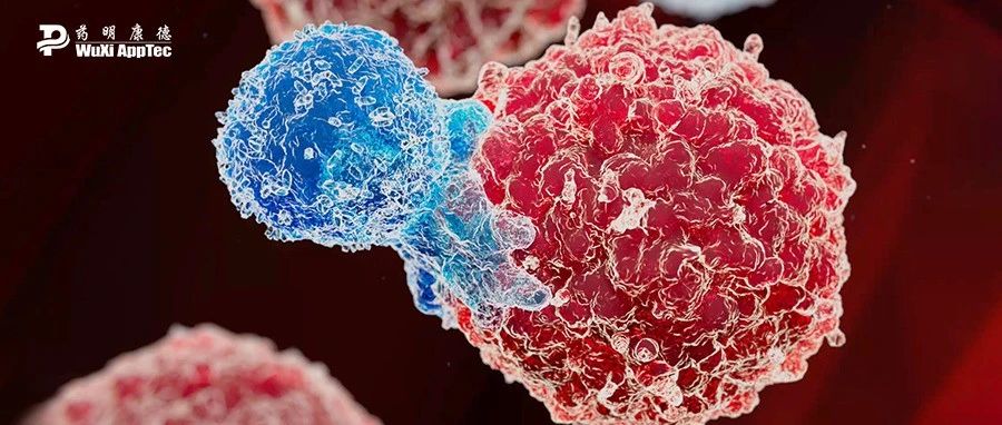 首款TCR-T治療實體瘤獲批在即，下一代技術湧現（附下載）| 細胞和基因療法年中盤點