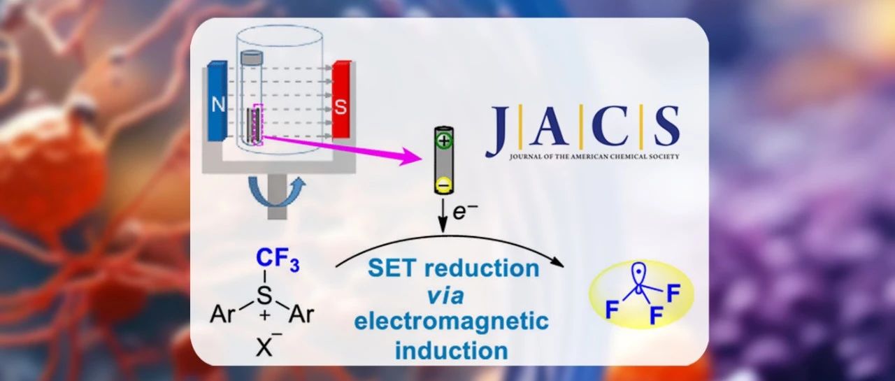 山東理工大學李新進JACS：電磁感應促進的有機分子的氧化還原反應