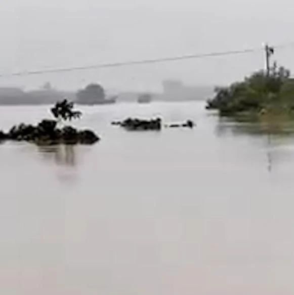 最新通報：3名幹部防汛排查時突遇山洪車輛被沖走，一人仍失聯